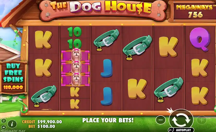 The Dog House Megaways Screenshot