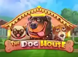 The Dog House
