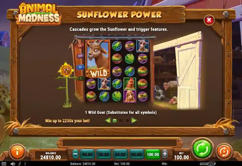 Animal Madness Sunflower Power