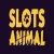 Slots Animal Casino