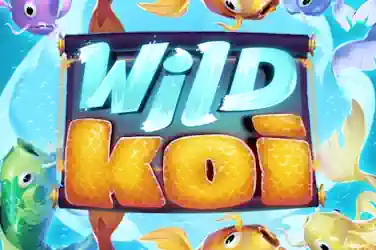 Wild Koi