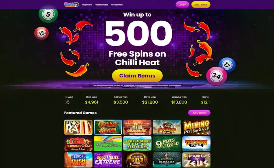 Fever Bingo Casino Screenshot