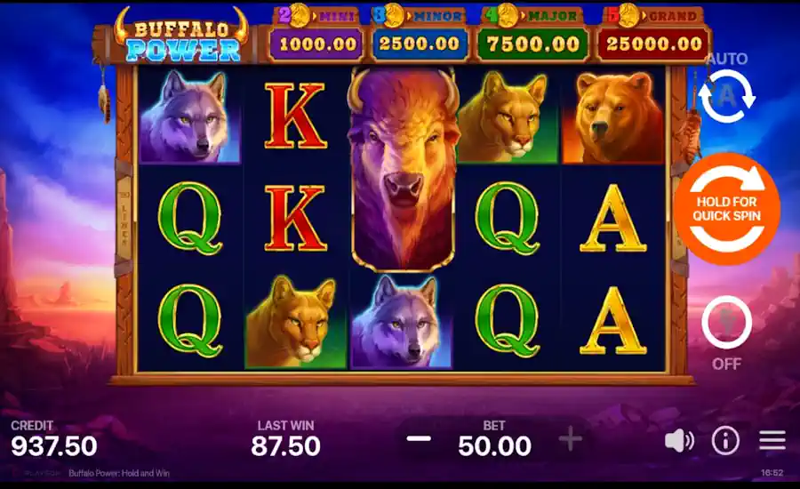 Buffalo Power hold and win game play